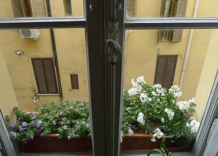 Domus Picta Roomy *